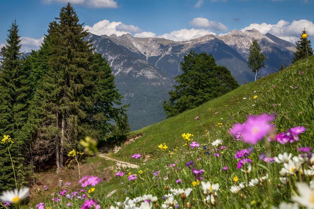 Fewo Lebensfreude Міттенвальд Номер фото